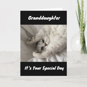 BEST BIRTHDAY EVER TO ***GRANDDAUGHTER***   CARD