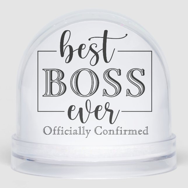 Best Boss Ever Entrepreneurs Picture Leadership  Snow Globe (Front)