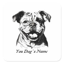 Best Buddy English Bulldog B&W Silohuette