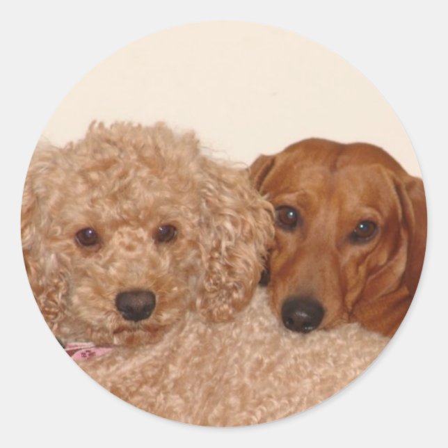 Best Buds Classic Round Sticker (Front)