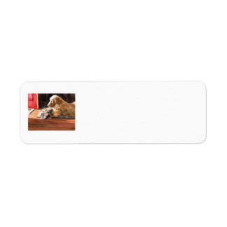 Best Buds Label