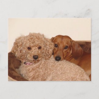 Best budy postcard