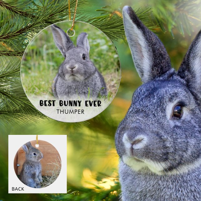 BEST BUNNY EVER Rabbit Photo Personalized Ceramic Ornament (Creator Uploaded)