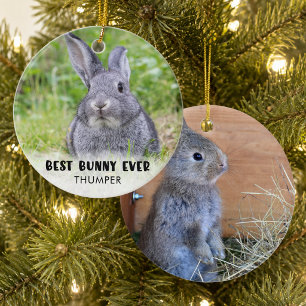 BEST BUNNY EVER Rabbit Photo Personalized Ceramic Ornament