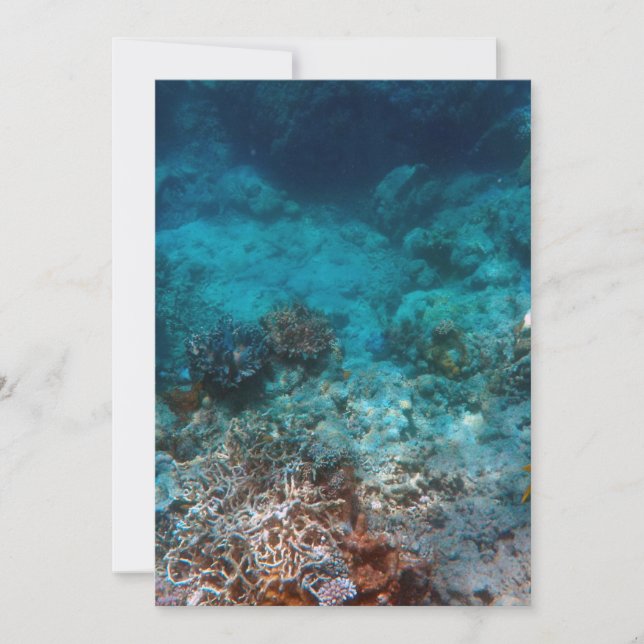 Best Card 5" x 7" (Front)