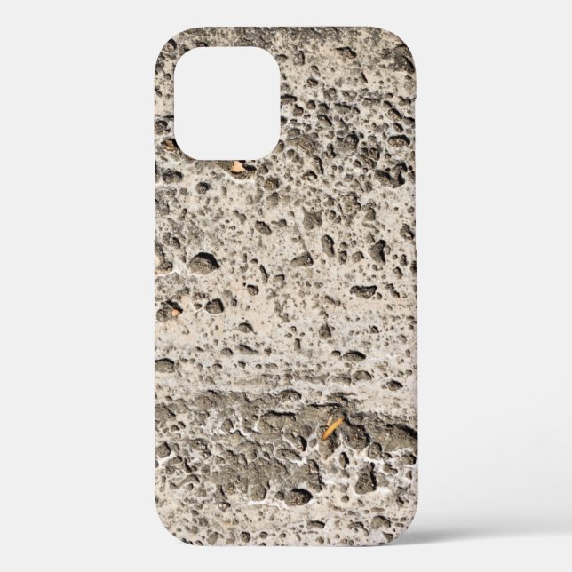 Best Case-Mate Tough Apple iPhone 12 Case (Back)