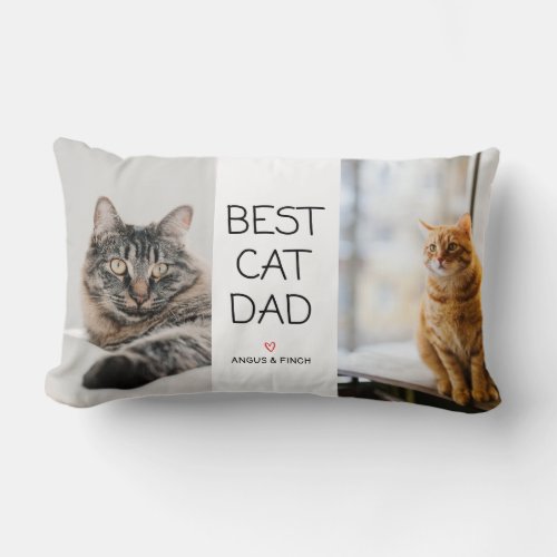 Best Cat Dad Lumbar Pillow