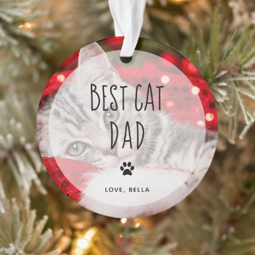 Best Cat Dad  Two Photo Handwritten Text Ornament