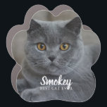 "Best Cat Ever" Custom Photo Car Magnet<br><div class="desc">Display your favorite best friend's photo.</div>