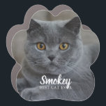 "Best Cat Ever" Custom Photo Car Magnet<br><div class="desc">Display your favorite best friend's photo.</div>