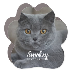 "Best Cat Ever" Custom Photo Car Magnet