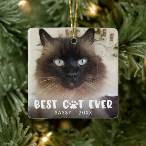 BEST CAT EVER Paw Print Personalized Photo Ceramic Ornament