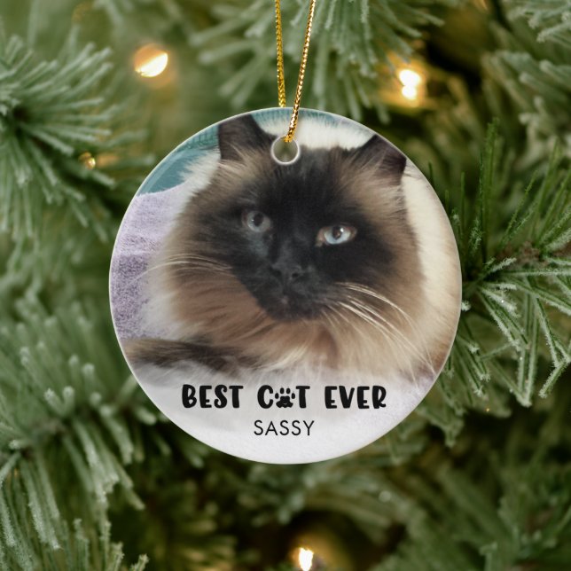 BEST CAT EVER Photo White Overlay Personalized Ceramic Ornament (Tree)