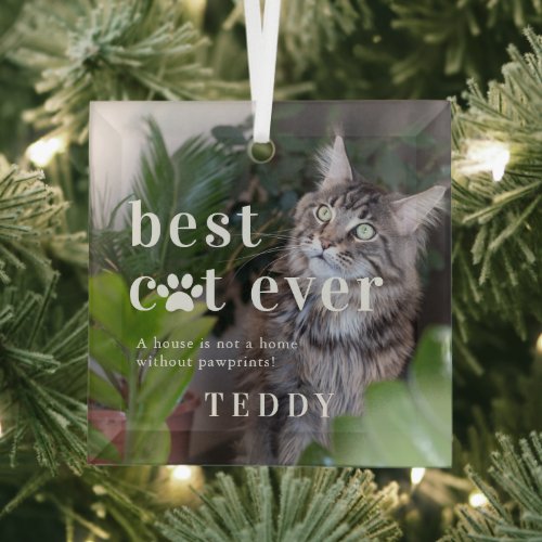Best Cat Ever  Quote  Photo Gift Glass Ornament