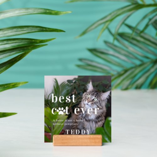 Best Cat Ever  Quote  Photo Gift Holder