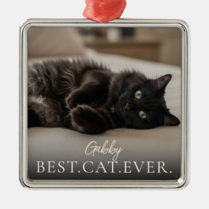 Best Cat Ever Your Pet Name And Photo  Metal Ornament