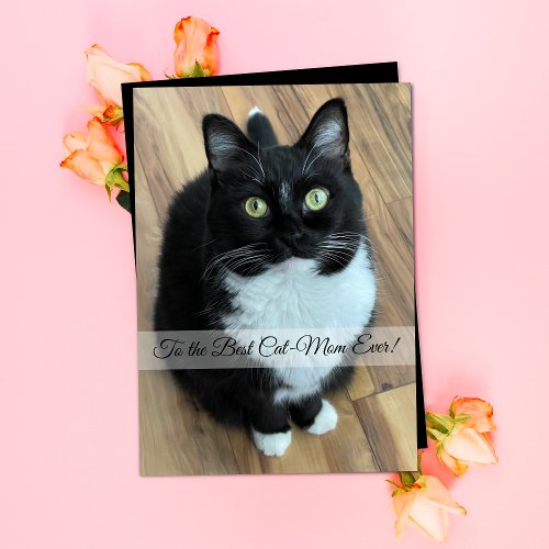 Best Cat Mom Ever Mothers Day Card