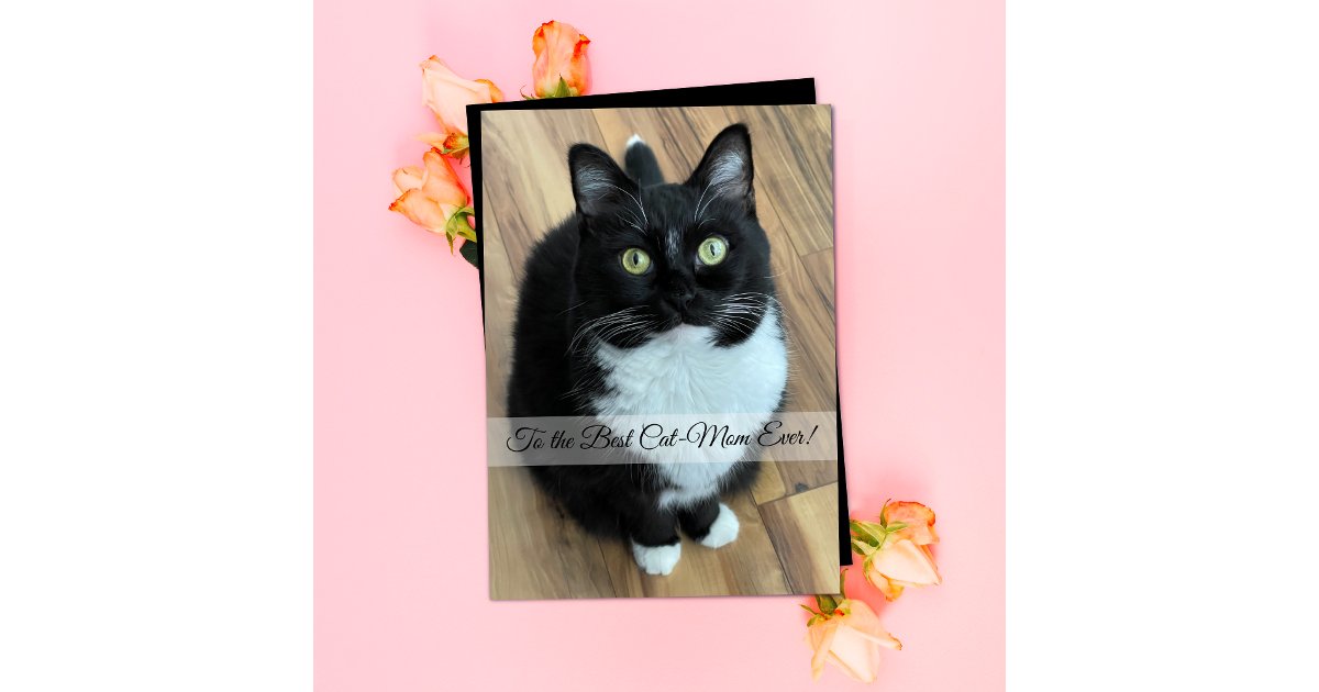 Best Cat Mom Ever Mother’s Day Card | Zazzle