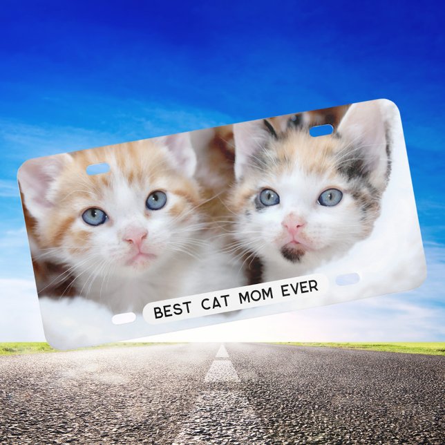 Best Cat Mom Ever Photo License Plate (Decorative License Plate for Cat Moms)
