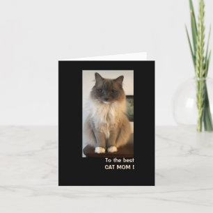 Best Cat Mom for Mother's Day Card