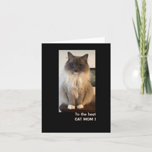 Best Cat Mom for Mothers Day Card