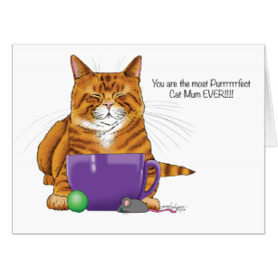 Posters & Prints Gift For Her Birthday Gift For Asian Semi Longhaired Cat Moms Asn Smilghr Cat Mom High Gloss Poster 12 In X 12 In