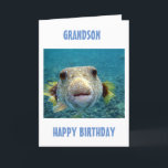 BEST CATCH OF THE DAY **GRANDSON'S BIRTHDAY** CARD<br><div class="desc">THIS PUFFER FISH IS SO READY TO TELL **YOUR GRANDSON** HE IS LOVED ON HIS *BIRTHDAY* AND THAY YOU HOPE HE CAN ENJOY AND RELAX ON HIS SPECIAL DAY!</div>