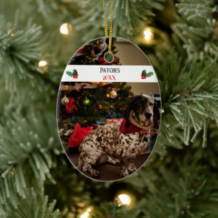 Best Christmas Ever Pet Photo Template Ceramic Ornament