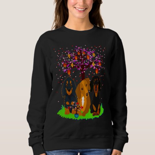 Best Dachshund  Cute Wiener Dog Three Doxies With  Sweatshirt