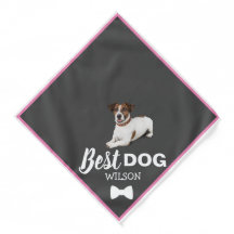 Best Dog Bandana | Custom Name & Photo