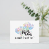 Best Dog "colored" (Standing Front)