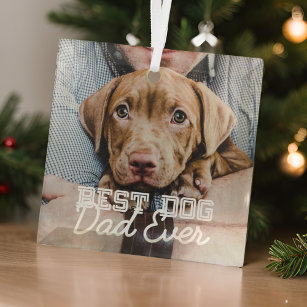 Best Dog Dad Ever Modern Custom Pet Photo Glass Ornament