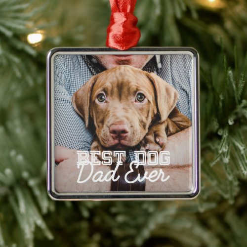 Best Dog Dad Ever Modern Custom Pet Photo Metal Ornament
