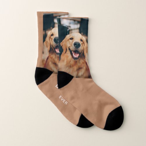 BEST DOG DAD EVER SOCKS