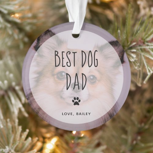 Best Dog Dad  Two Photo Handwritten Text Ornament