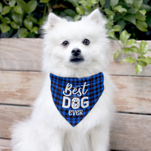 Best Dog Ever Blue Buffalo Plaid Dog Pet Bandana Collar