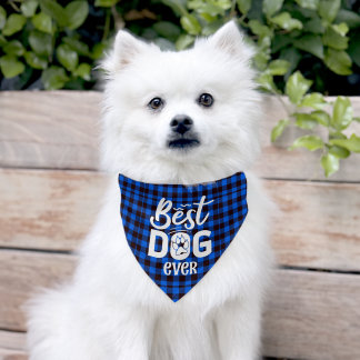 Best Dog Ever Blue Buffalo Plaid Dog Pet Bandana Collar
