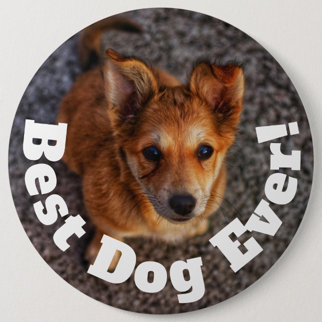 Best Dog Ever Button (Front)