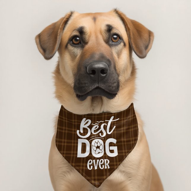 Best Dog Ever Chocolate Brown Plaid Dog Pet Bandana Collar (Dog 2)