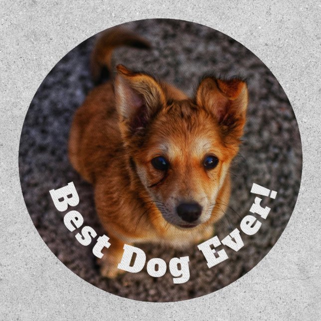Best Dog Ever Patch (Front)