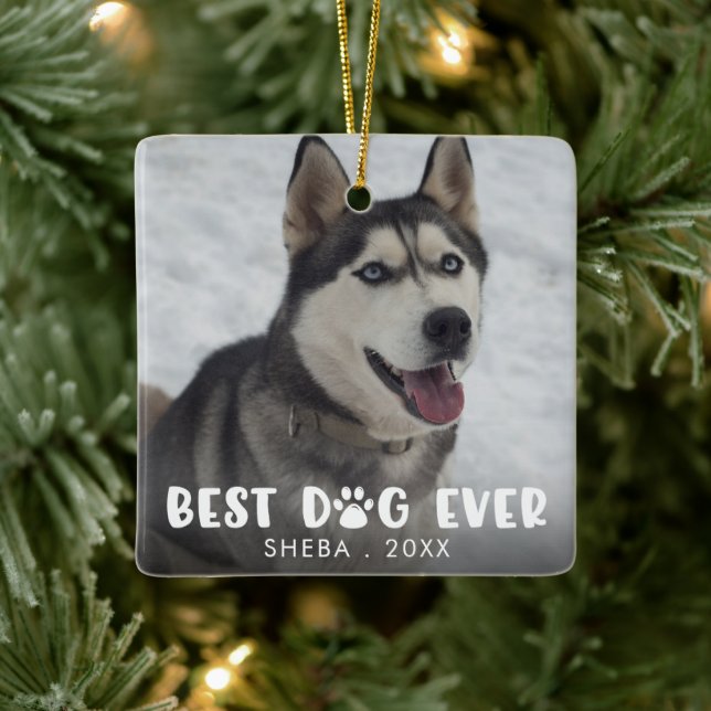BEST DOG EVER Paw Print Personalized Photo Ceramic Ornament (Tree)