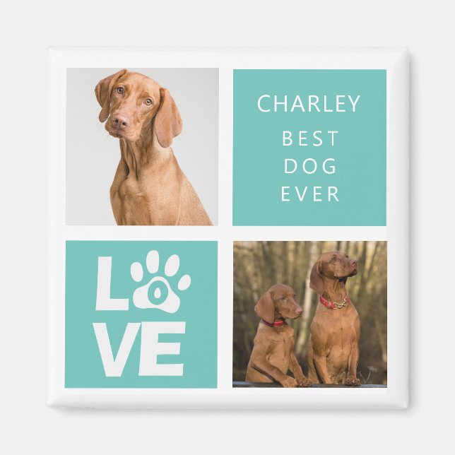 Best Dog Ever | Personalized Photo Magnet (Front)