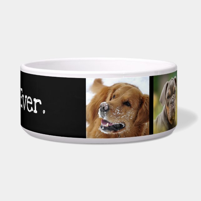 Best Dog Ever Photo Collage Fun Black White Bowl (Right)