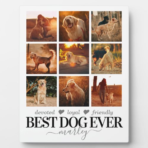 Best Dog Ever Photo Plaque