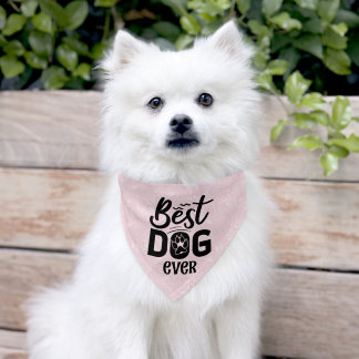 Best Dog Ever Pink Botanical Patterned Dog Pet Bandana Collar