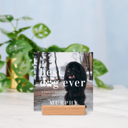 Best Dog Ever  Quote  Photo Gift Holder