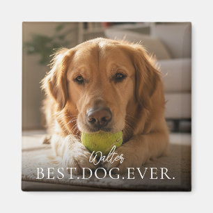 Best Dog Ever Your Pet Name And Photo  Magnet