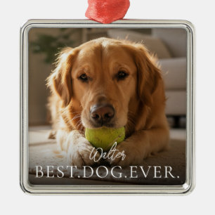 Best Dog Ever Your Pet Name And Photo Metal Ornament