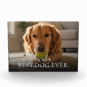 Best Dog Ever Your Pet Photo Block