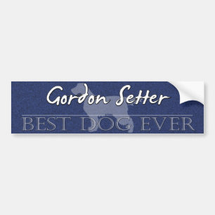 Best Dog Gordon Setter Bumper Sticker